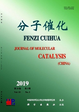 分子催化封面